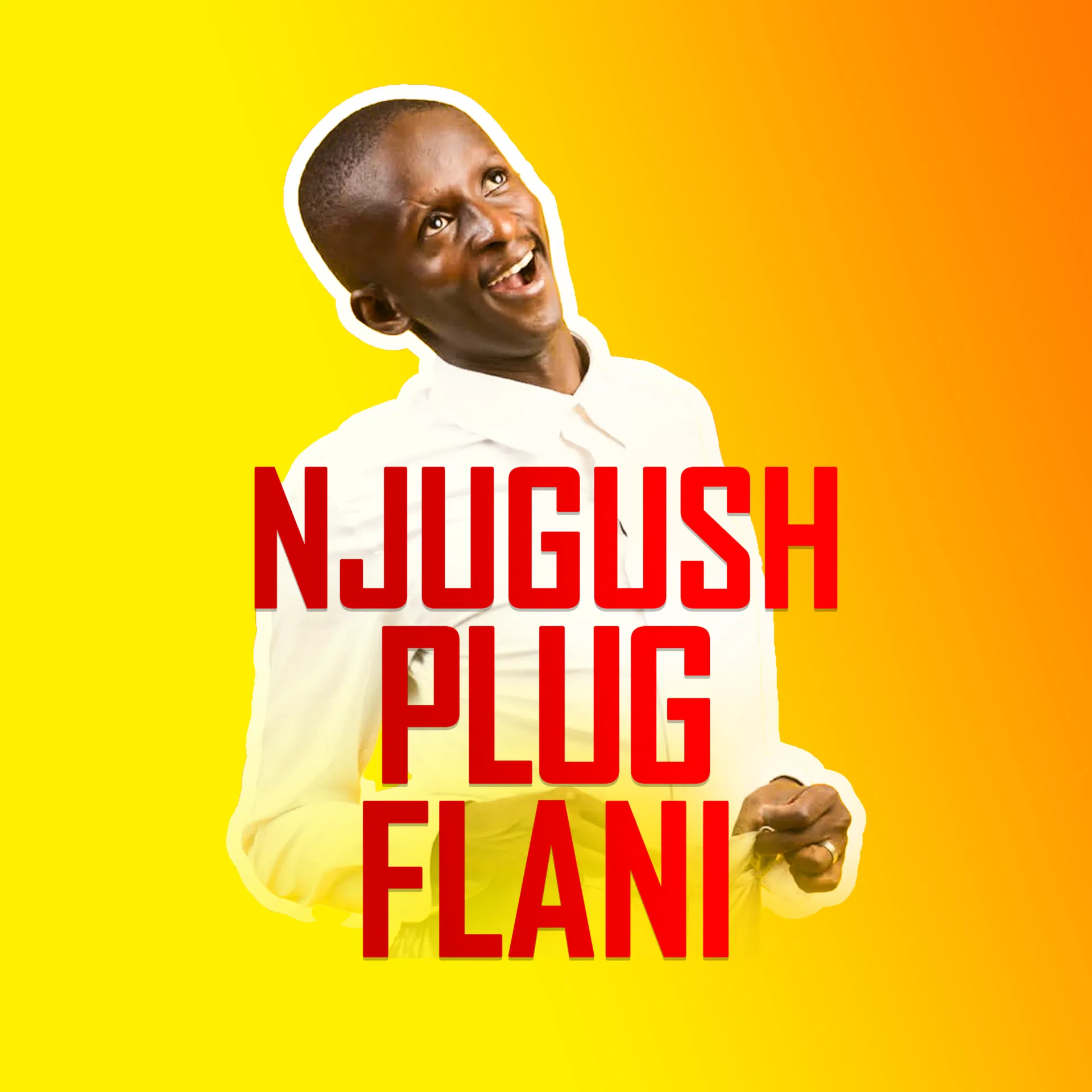Plug Flani